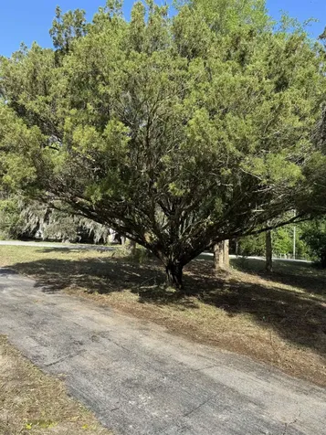608 Coral Farms Road Florahome FL 32140