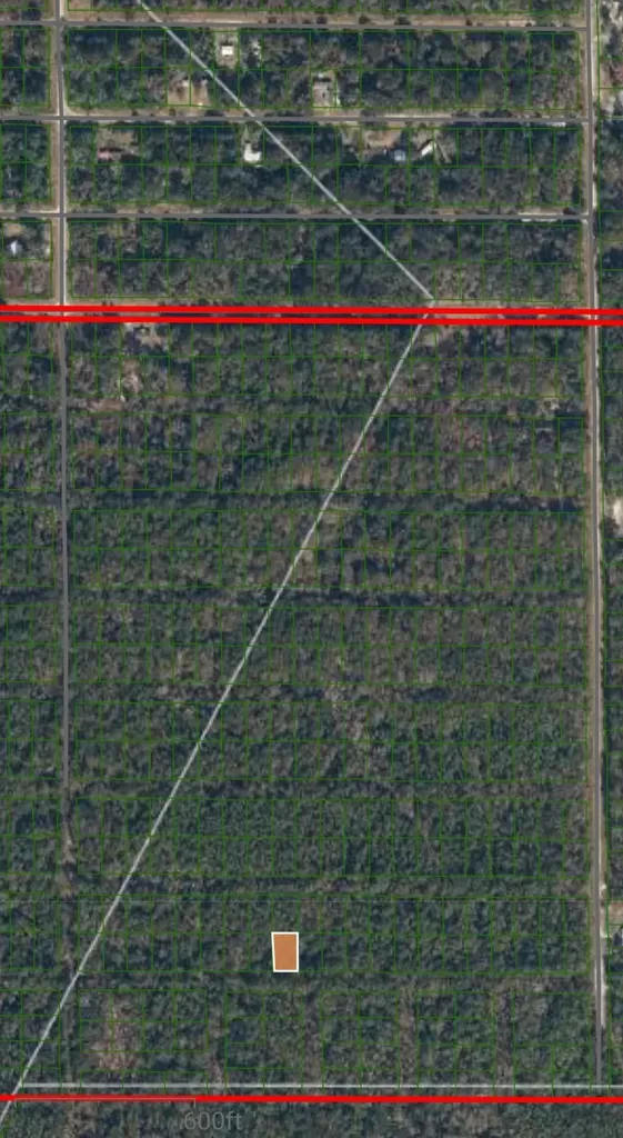216 Mandarin Avenue Georgetown FL 32139