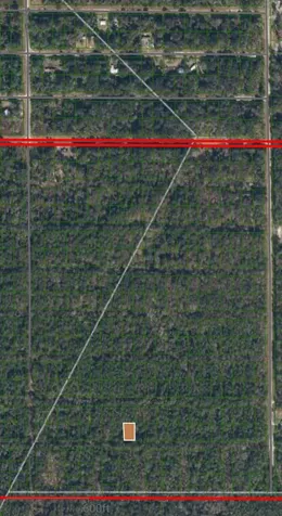 216 Mandarin Avenue Georgetown FL 32139