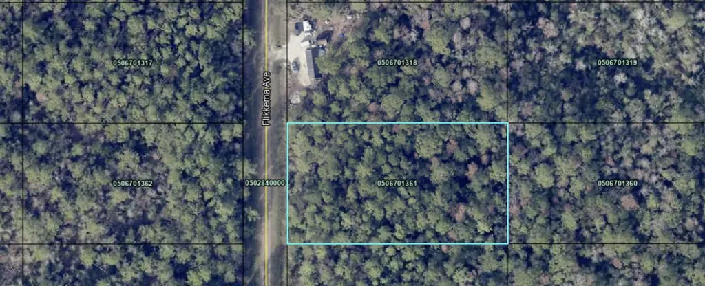 10530 Flikkema Avenue Hastings FL 32145