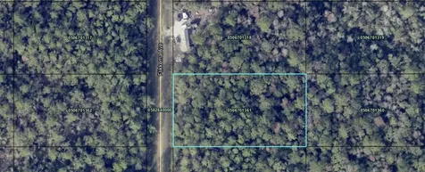 10530 Flikkema Avenue Hastings FL 32145