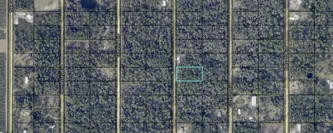 10530 Flikkema Avenue Hastings FL 32145