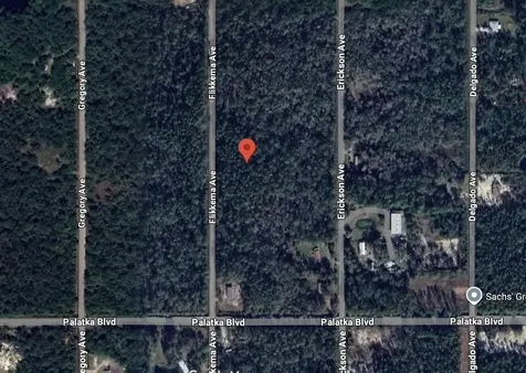 10530 Flikkema Avenue Hastings FL 32145