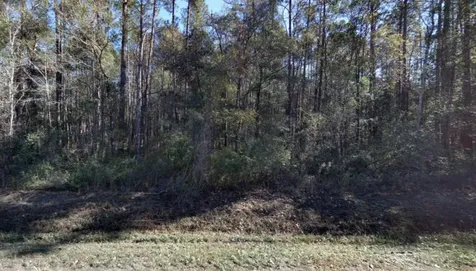 10530 Flikkema Avenue Hastings FL 32145