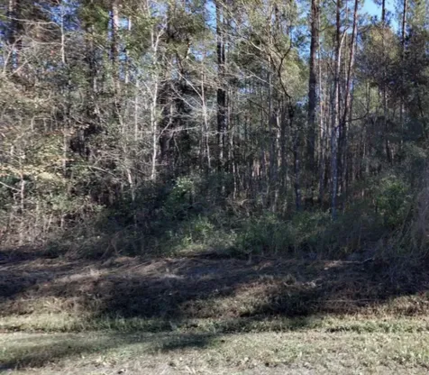 10530 Flikkema Avenue Hastings FL 32145