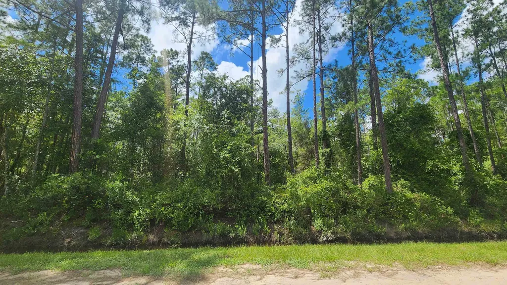 0 Erickson Avenue Hastings FL 32145