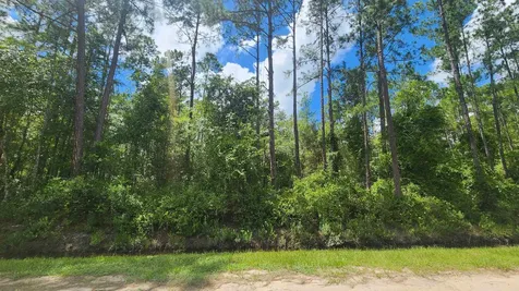 0 Erickson Avenue Hastings FL 32145
