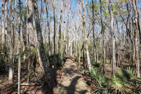 4142 Burning Tree Lane Jacksonville FL 32223
