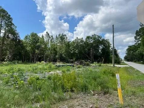102 Horseman Club Road Palatka FL 32177