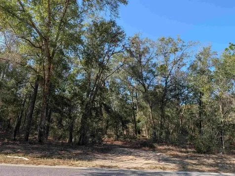 475 Baden Powell Road Hawthorne FL 32640
