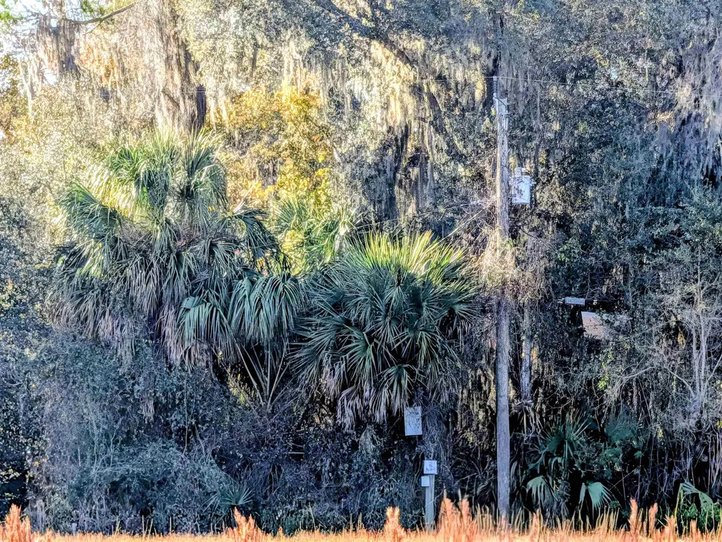 E Putnam County Boulevard East Palatka FL 32131