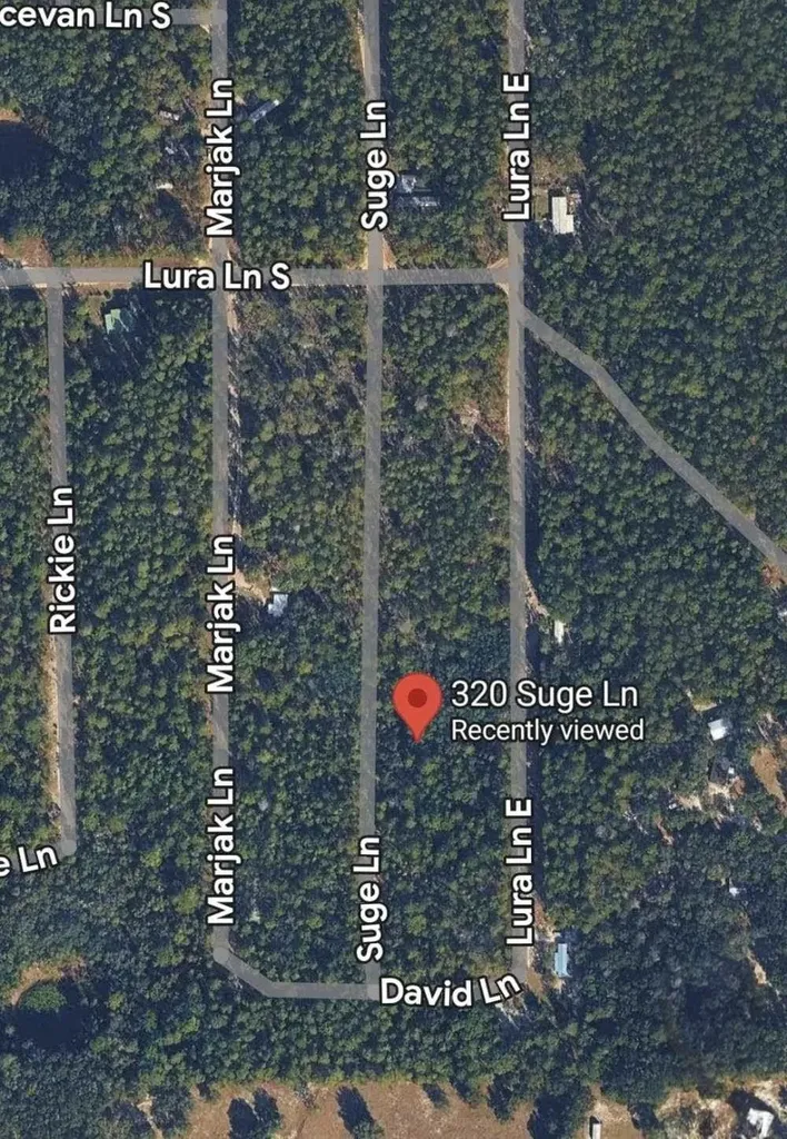 320 Suge Lane Florahome FL 32140