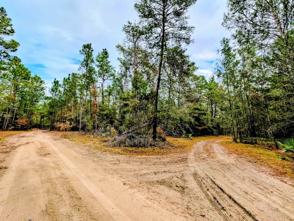 Rosewood Road Florahome FL 32140
