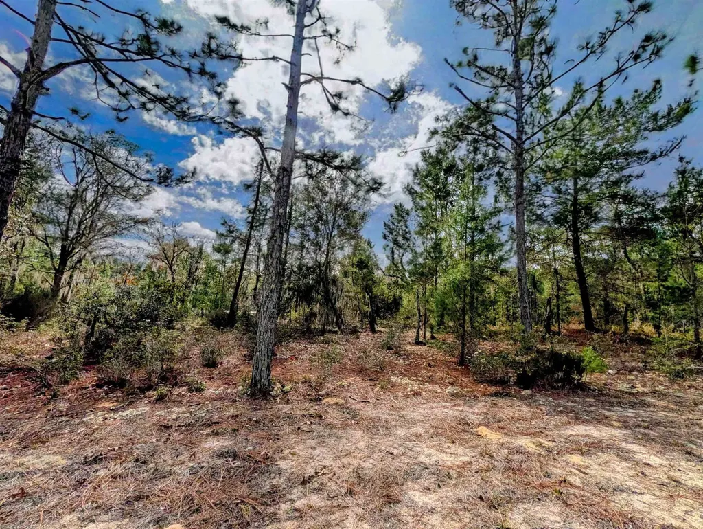 Cherry Street Interlachen FL 32148