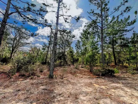 Cherry Street Interlachen FL 32148