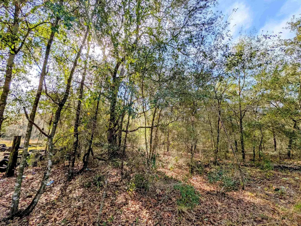 Tbd Cherry Street Interlachen FL 32148