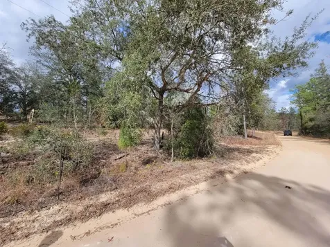 000 Twin Lakes Boulevard Interlachen FL 32148
