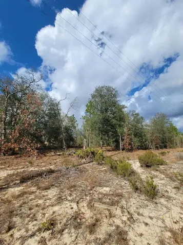 000 Twin Lakes Boulevard Interlachen FL 32148