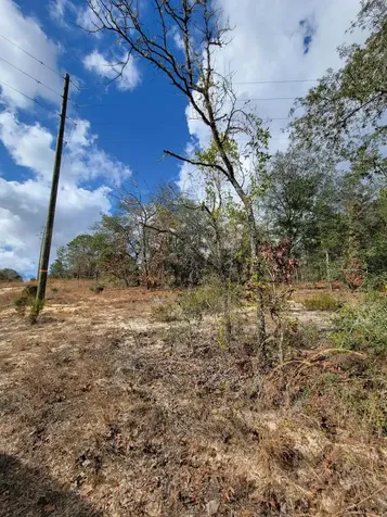 000 Twin Lakes Boulevard Interlachen FL 32148