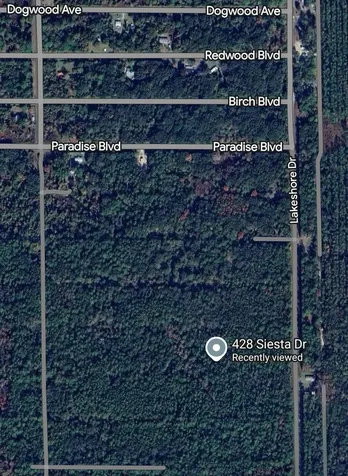 428 Siesta Drive Georgetown FL 32139