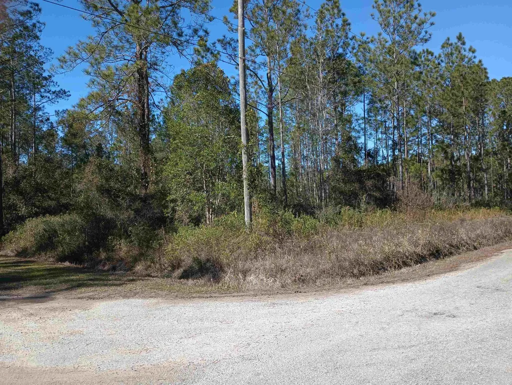 10575 Amos Avenue Hastings FL 32145-0000