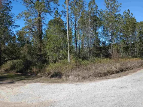 10575 Amos Avenue Hastings FL 32145-0000