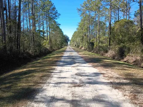 10575 Amos Avenue Hastings FL 32145-0000