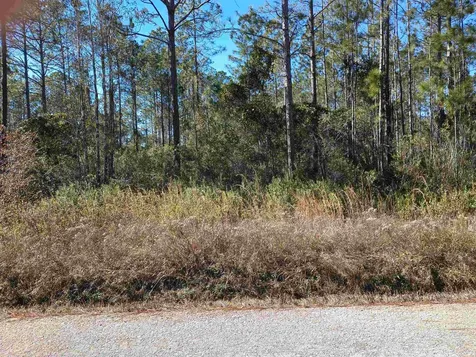 10575 Amos Avenue Hastings FL 32145-0000