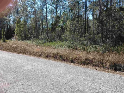 10575 Amos Avenue Hastings FL 32145-0000