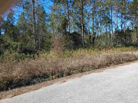 10575 Amos Avenue Hastings FL 32145-0000
