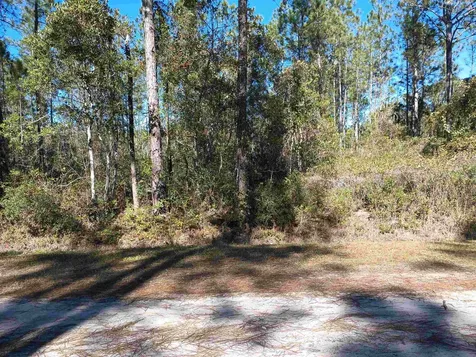 10575 Amos Avenue Hastings FL 32145-0000