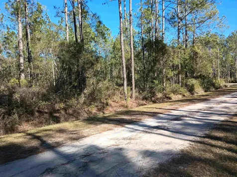 10575 Amos Avenue Hastings FL 32145-0000
