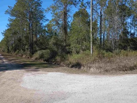 10575 Amos Avenue Hastings FL 32145-0000