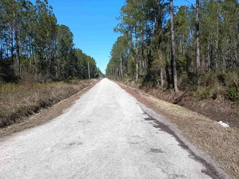 10575 Amos Avenue Hastings FL 32145-0000