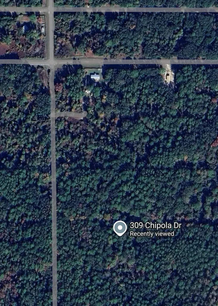 309 Chipola Drive Georgetown FL 32139
