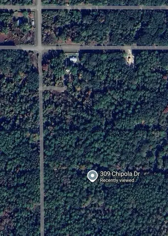 309 Chipola Drive Georgetown FL 32139