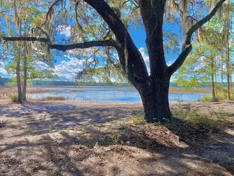 18990 SE 95th Place Ocklawaha FL 32179