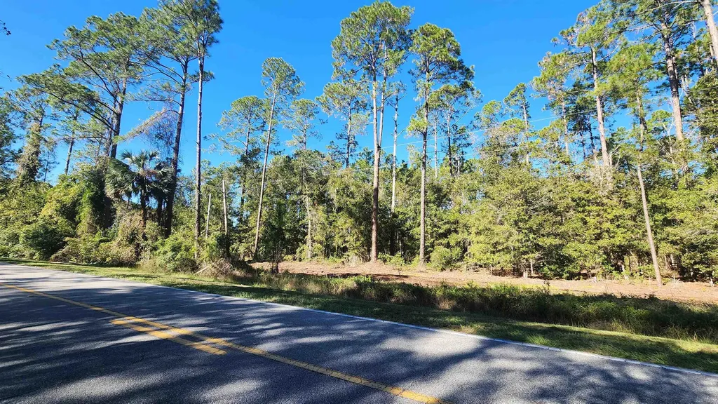 Tbd Georgetown Denver Road Georgetown FL 32139