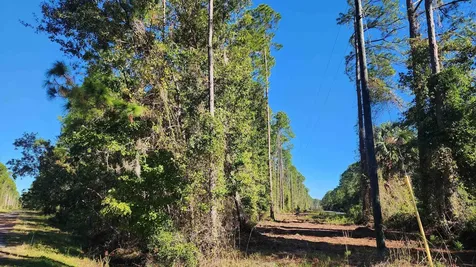 Tbd Georgetown Denver Road Georgetown FL 32139