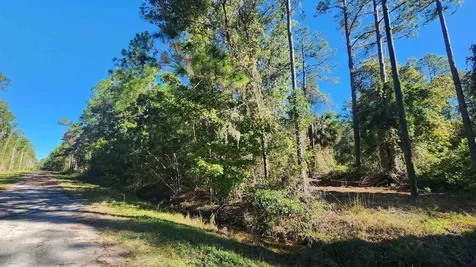 Tbd Georgetown Denver Road Georgetown FL 32139