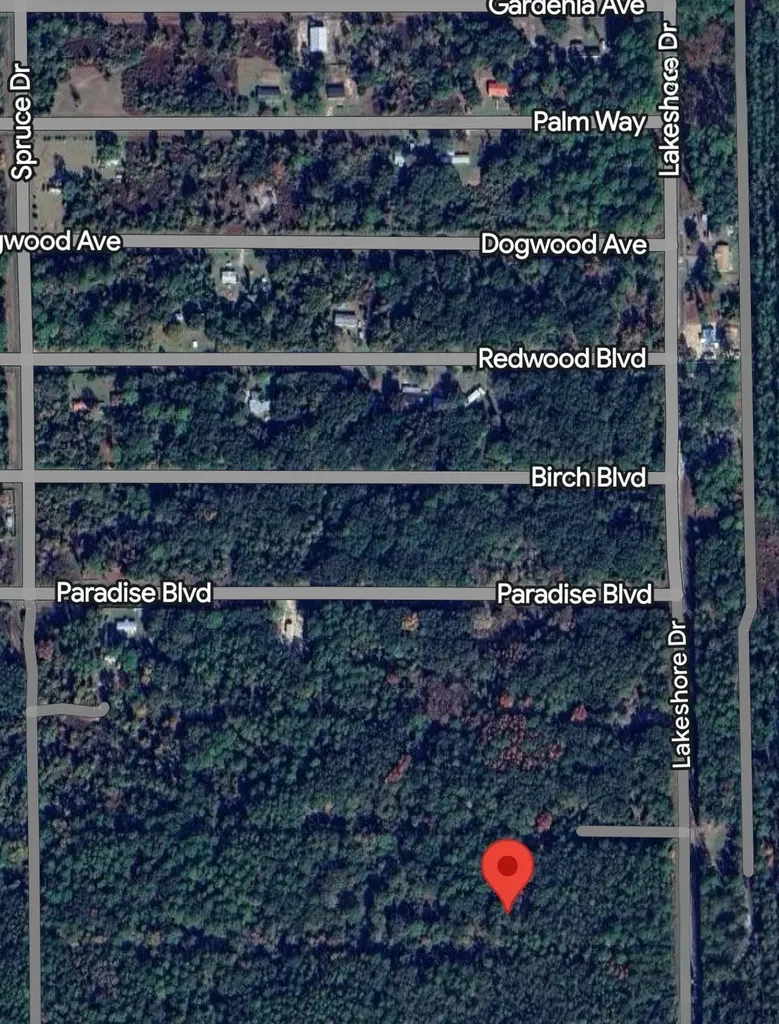 330 Chipola Drive Georgetown FL 32139