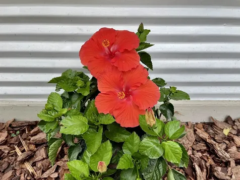 1715 NE 6th Place Gainesville FL 32641