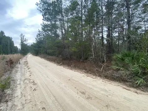 211 Suge Lane Florahome FL 32140