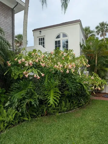 174 Avenida Menendez St Augustine FL 32084