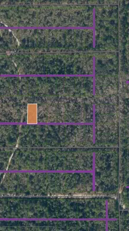 Tbd E Rio Avenue Palatka FL 32177