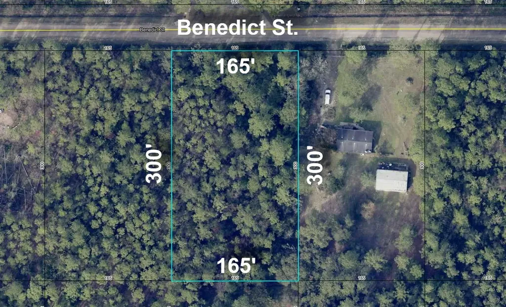 4235 Benedict Street Hastings FL 32145