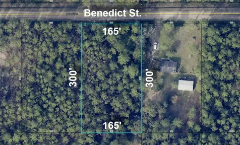 4235 Benedict Street Hastings FL 32145