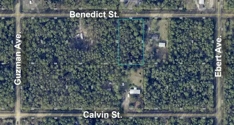 4235 Benedict Street Hastings FL 32145