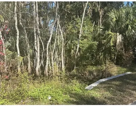 0 Collier Boulevard St Augustine FL 32084