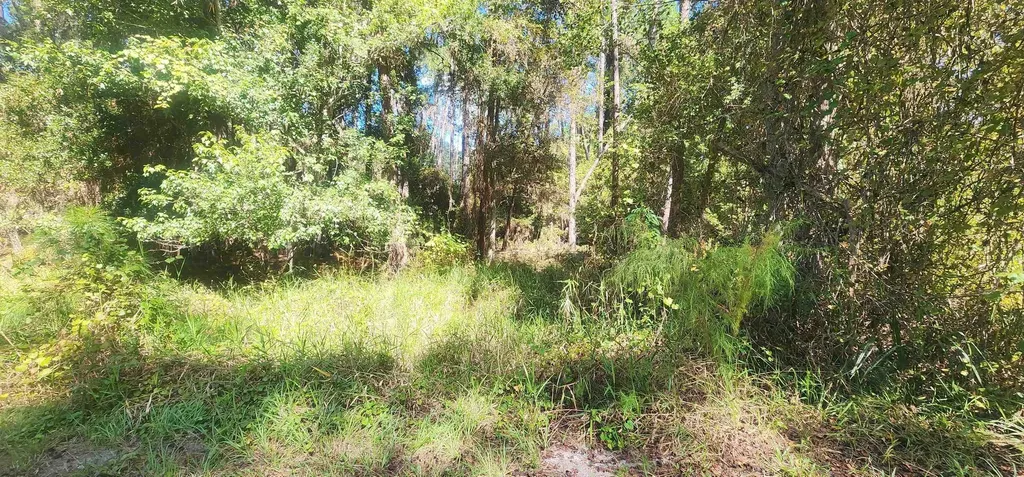 424 Dogwood Avenue Georgetown FL 32139
